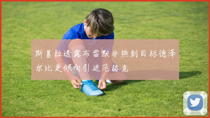 斯基拉透露布雷默非热刺目标德泽尔比更倾向引进范赫克