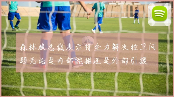 森林狼总裁表示将全力解决控卫问题无论是内部挖掘还是外部引援
